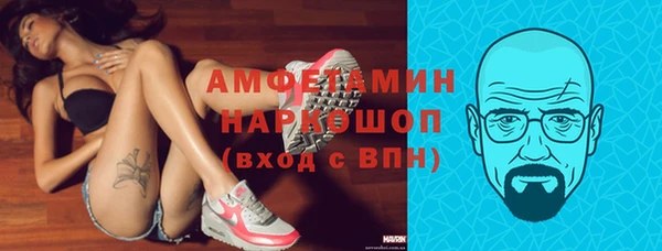 гидра Алексин