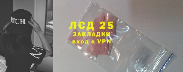 гидра Алексин