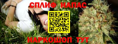 шишки Коммунар