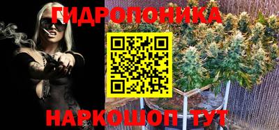 эйфоретик Конаково