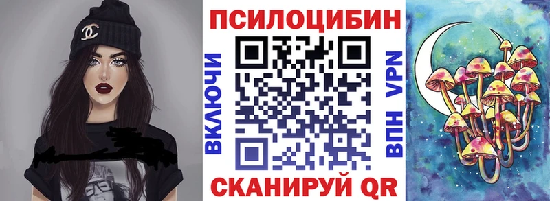 купить закладку  Ирбит  Псилоцибиновые грибы мицелий 