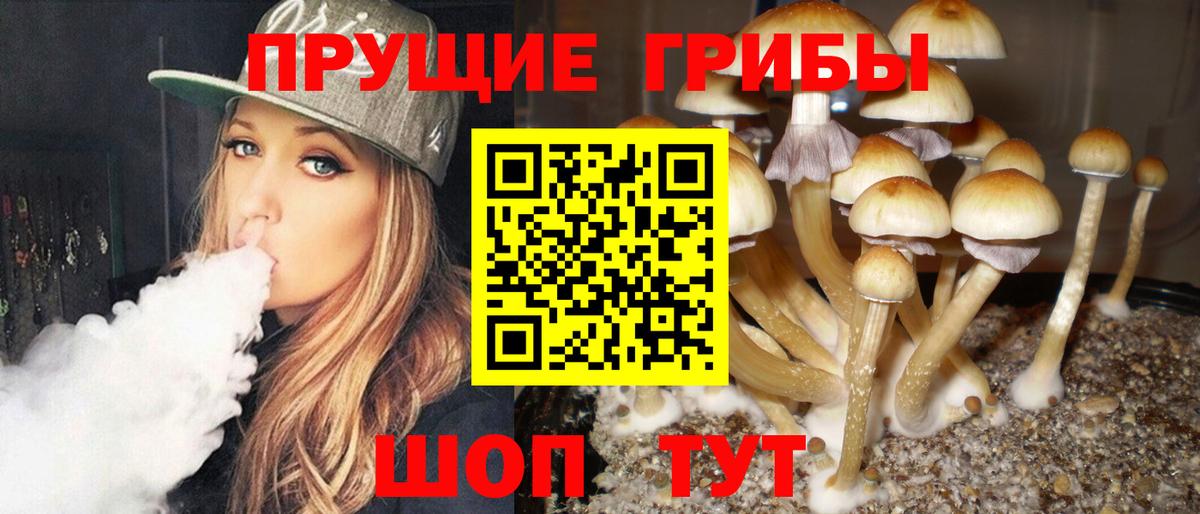 Ирбит  Псилоцибиновые грибы Psilocybe  Вход с VPN 
